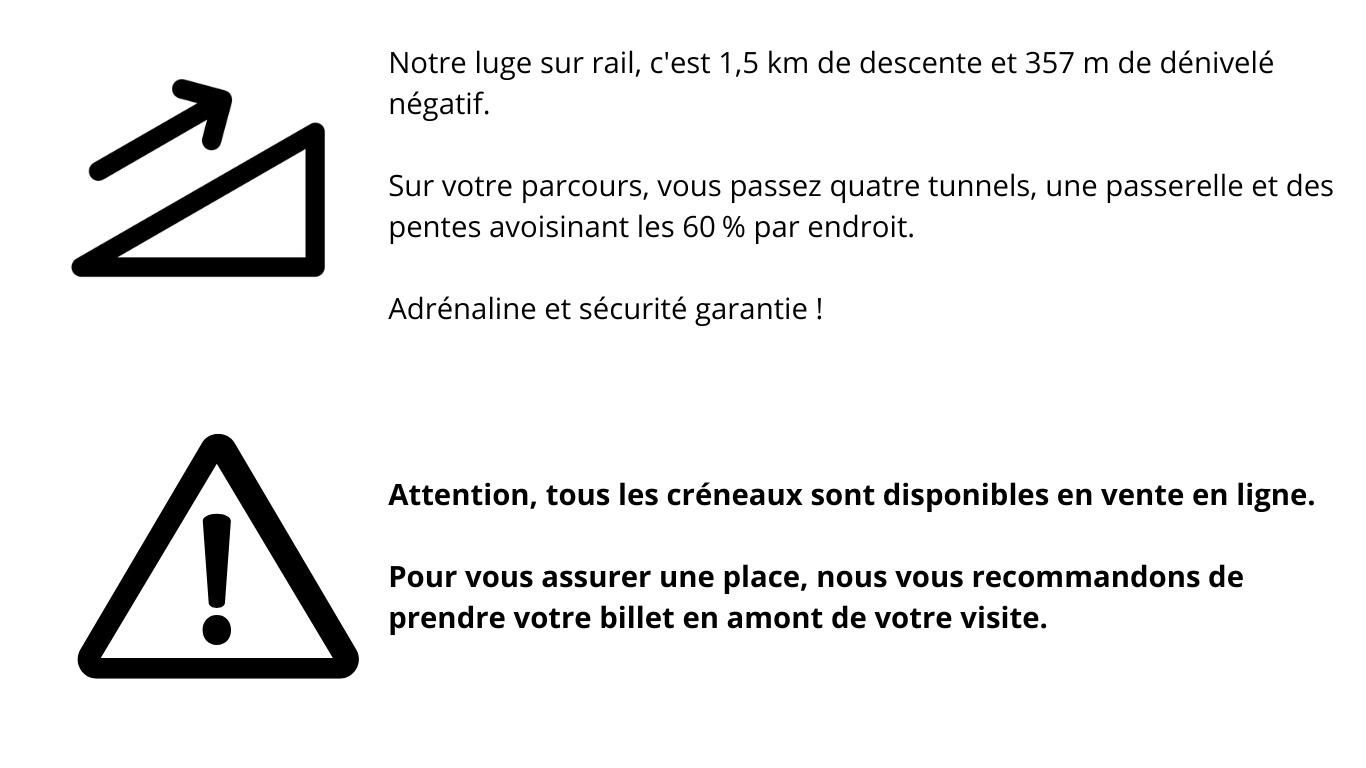 Luge sur rail