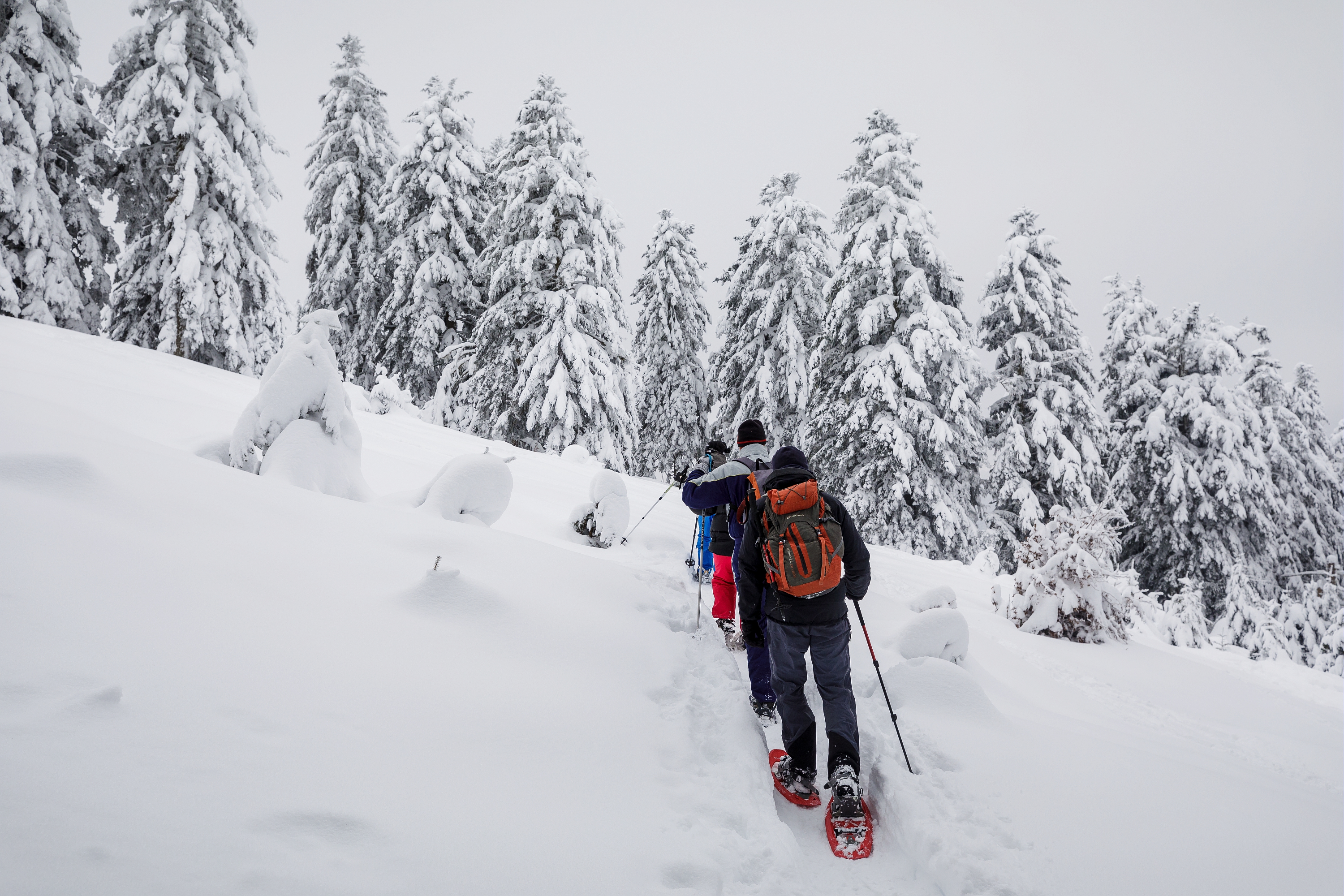 luge au col de la trappe