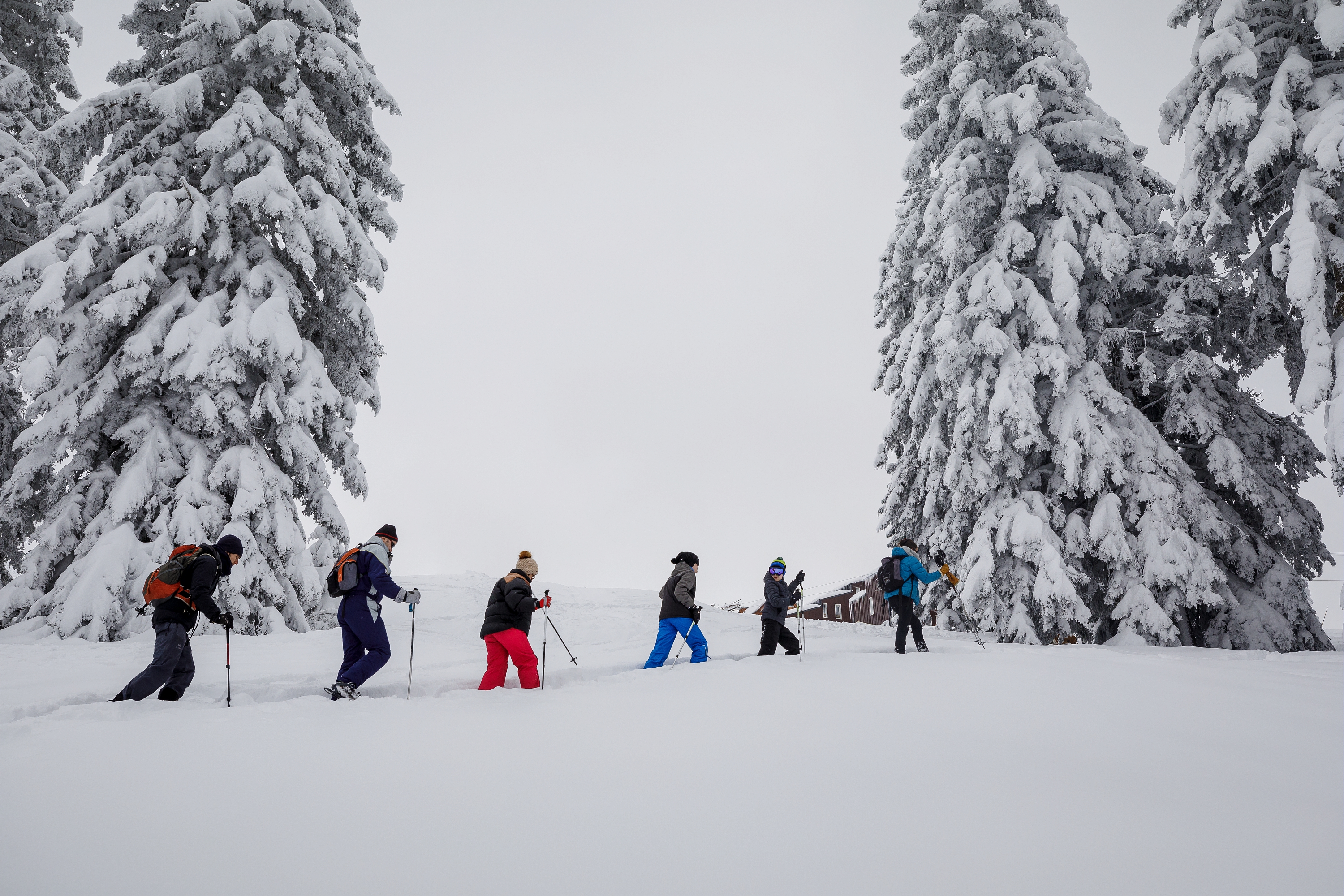 luge à guzet multiactivité