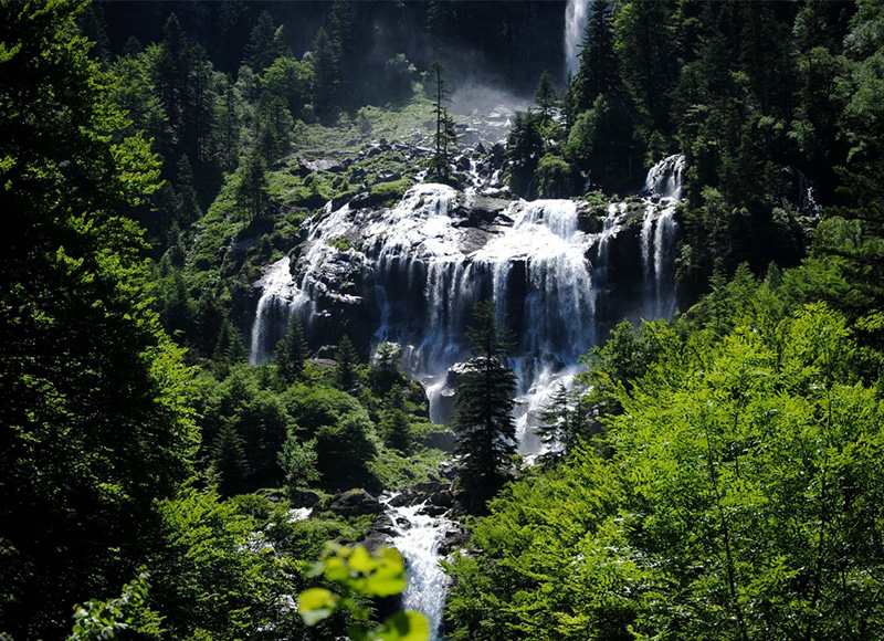 Cascade ars