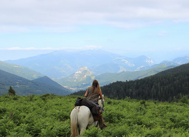 Cheval
