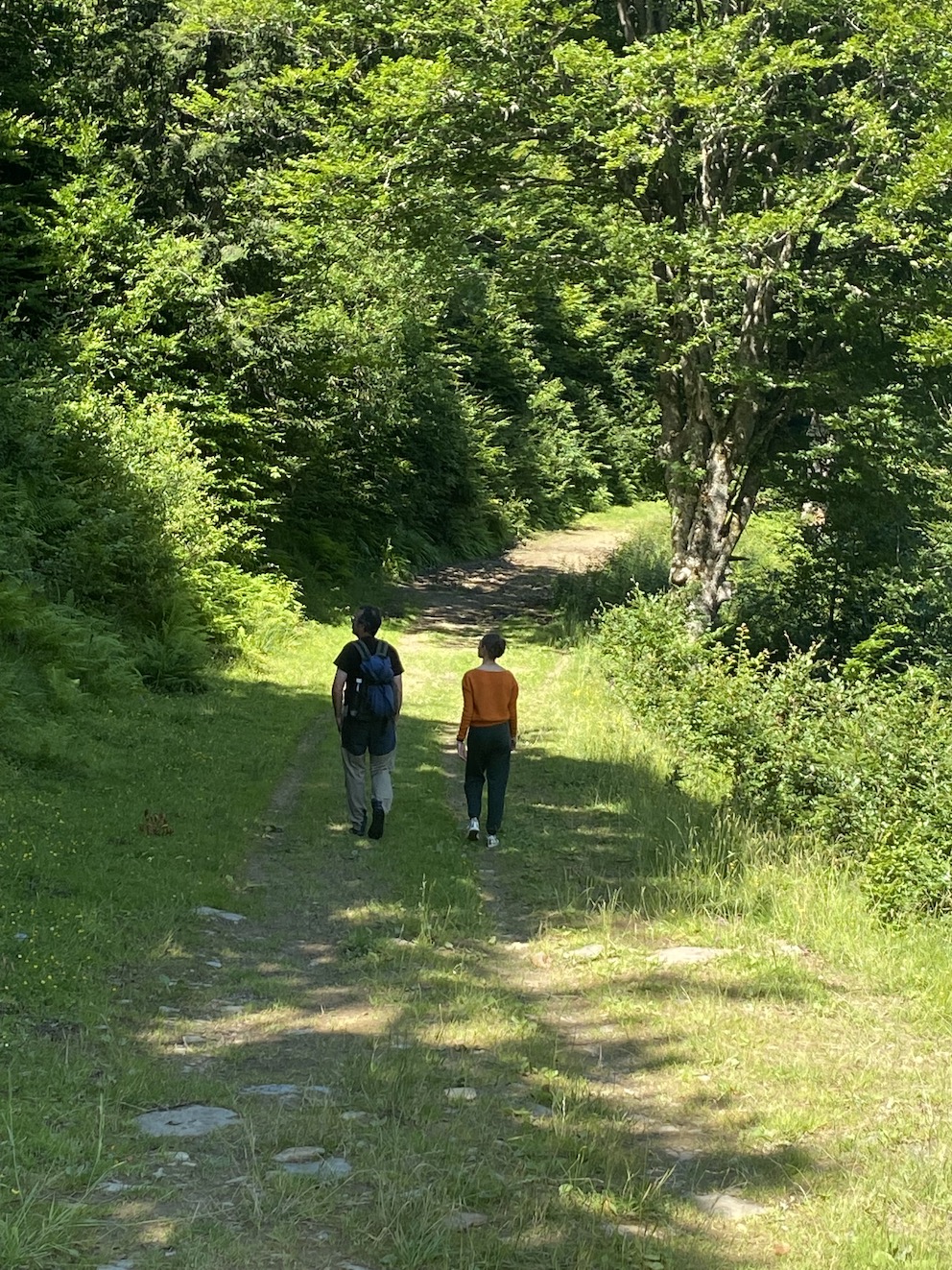 chemin multiactivité guzet