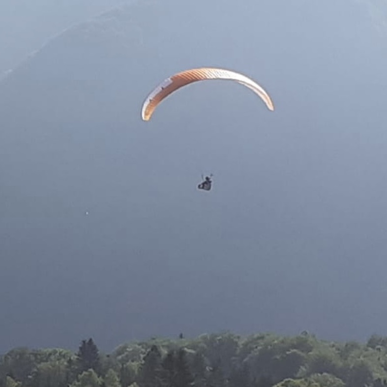 Family paragliding